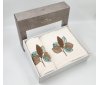 Подарочный набор полотенец Maribor - Leaf Beyaz (Turkey), 2 штуки